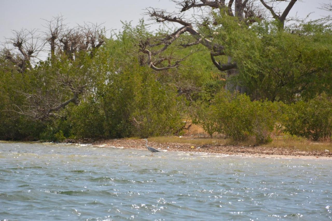 Le Pelican Du Saloum Sine-Saloum Bagian luar foto